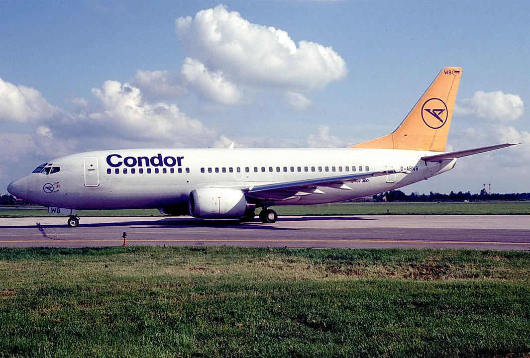 Boeing 737-330 aircraft profile