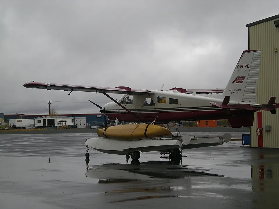 DE HAVILLAND DHC2 aircraft profile