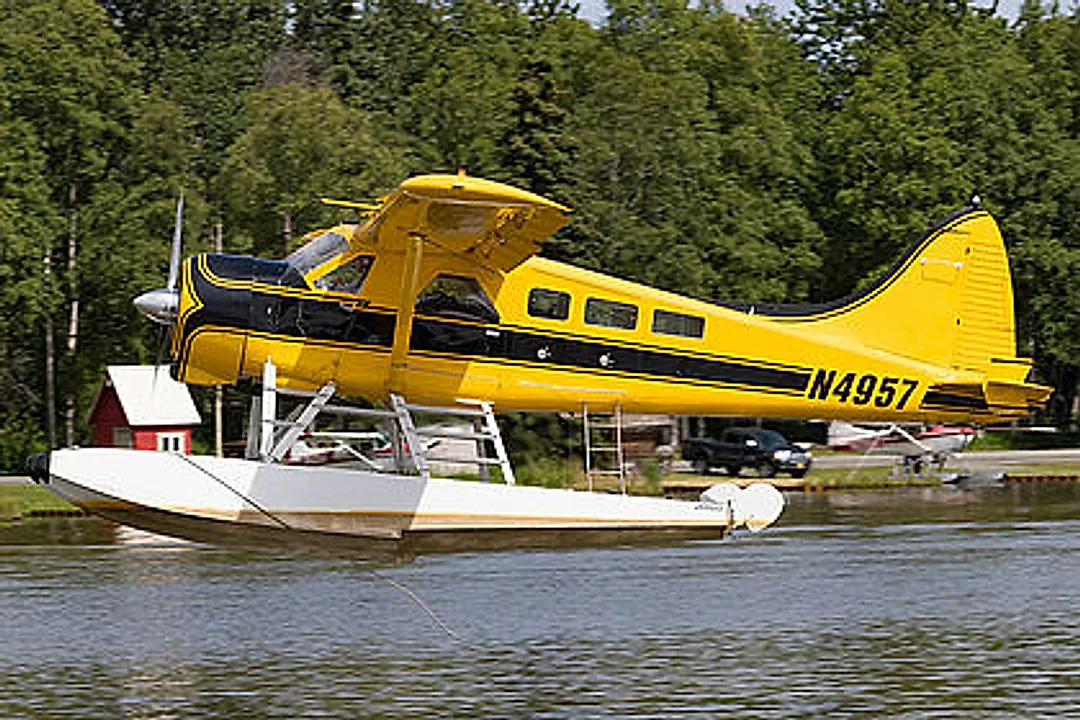 DEHAVILLAND BEAVER L-20A (DHC-2) aircraft profile