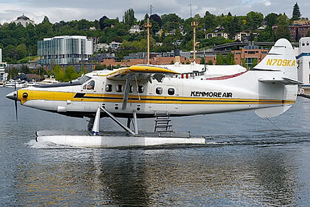 DEHAVILLAND DHC-3 aircraft profile