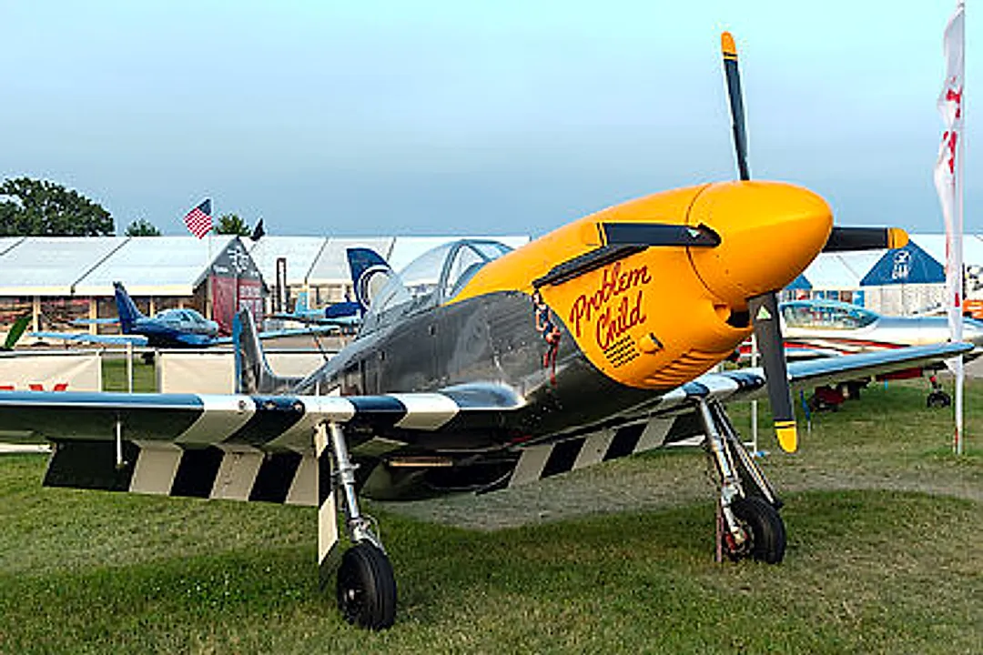 ERIC VARGOSKO SW-51 aircraft profile