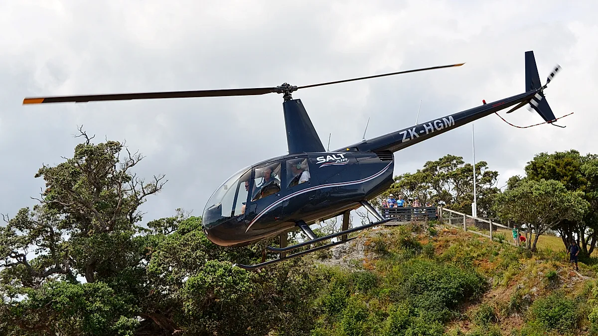ROBINSON HELICOPTER R44 aircraft profile