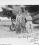 Stinson SM-1 Detroiter source archive thumbnail
