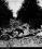 Pitcairn PA-5 Mailwing source archive thumbnail