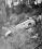 Boeing 80 source archive thumbnail