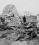 Boeing 247 source archive thumbnail