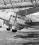 De Havilland DH.86 Express source archive thumbnail