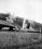 Savoia-Marchetti SM.75 source archive thumbnail