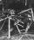 Blackburn B-26 Botha source archive thumbnail