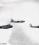 Boeing B-17 Flying Fortress source archive thumbnail