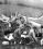 Boeing B-17 Flying Fortress source archive thumbnail