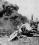 Douglas DC-3 source archive thumbnail