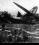Consolidated PBY Catalina source archive thumbnail