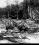 Boeing B-29 Superfortress source archive thumbnail