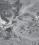 Boeing B-50 Superfortress source archive thumbnail