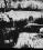 Curtiss C-46 Commando source archive thumbnail