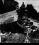 Fairchild C-119 Flying Boxcar source archive thumbnail