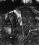 Avro 683 Lancaster source archive thumbnail