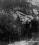 Convair B-36 Peacemaker source archive thumbnail
