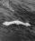 Convair B-36 Peacemaker source archive thumbnail