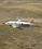 Curtiss C-46 Commando source archive thumbnail