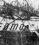 Martin 404 source archive thumbnail