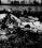Vickers Viscount source archive thumbnail