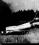 Boeing B-17 Flying Fortress source archive thumbnail