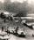 Martin 404 source archive thumbnail