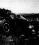 Douglas DC-7 source archive thumbnail