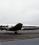 Lockheed L-1049 Super Constellation source archive thumbnail