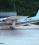 Britten-Norman Islander source archive thumbnail
