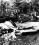 Nord 262 source archive thumbnail