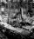 Beechcraft G18S source archive thumbnail