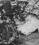Tupolev TU-134 source archive thumbnail