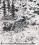 De Havilland DHC-2 Beaver source archive thumbnail