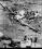 Beechcraft T-44A Pegasus source archive thumbnail