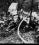 Cessna 340 source archive thumbnail