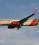 Boeing 737-800 source archive thumbnail