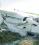 Britten-Norman Islander source archive thumbnail