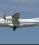 Dornier DO328 source archive thumbnail