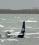 Piper PA-31-350 Navajo Chieftain source archive thumbnail