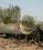 Antonov AN-2 source archive thumbnail
