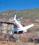 Cessna 208B Grand Caravan source archive thumbnail