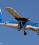 De Havilland DHC-6 Twin Otter source archive thumbnail