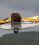 Quest Kodiak 100 source archive thumbnail