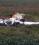 Let L-410 source archive thumbnail