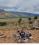 Dornier DO228 archived incident photo
