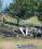 Cessna 208B Grand Caravan archived incident photo