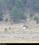Pilatus PC-12 source archive thumbnail